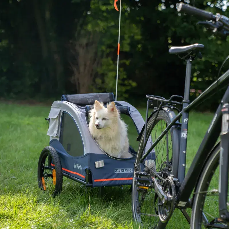HAFENBANDE Cabby M - przyczepka rowerowa i spacerowa dla psa do 25 kg