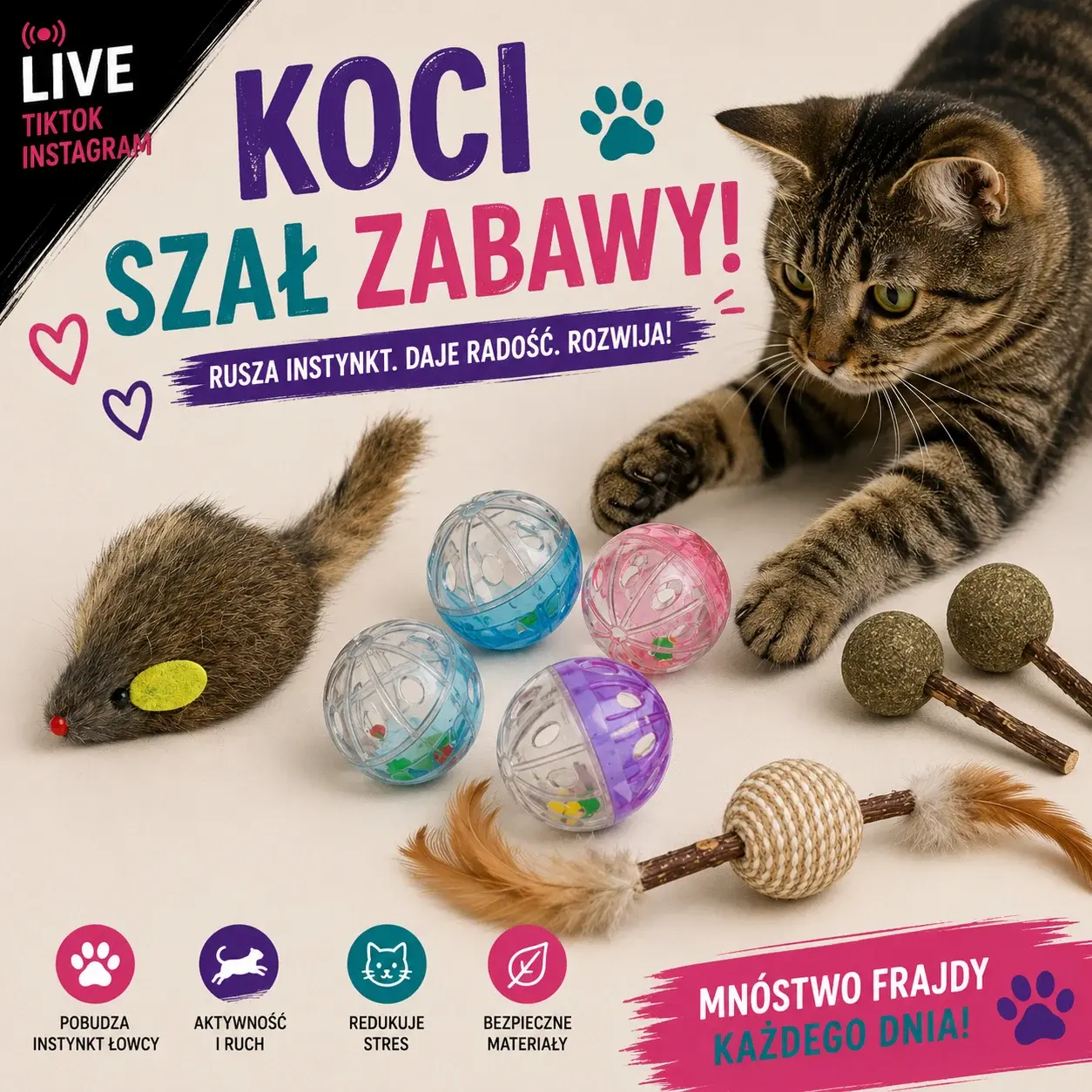  KOCI SZAŁ ZABAWY