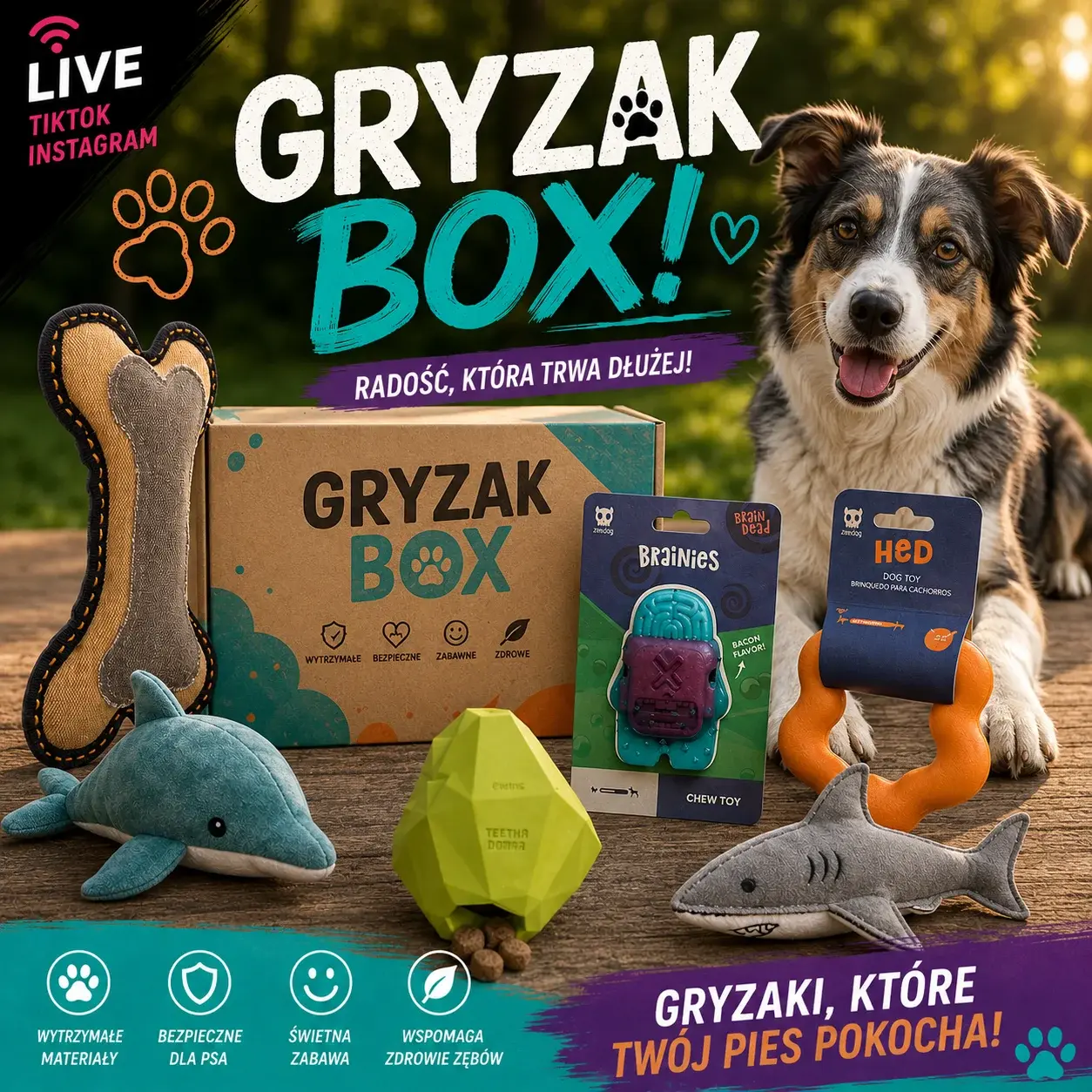 MOCNY GRYZAK BOX