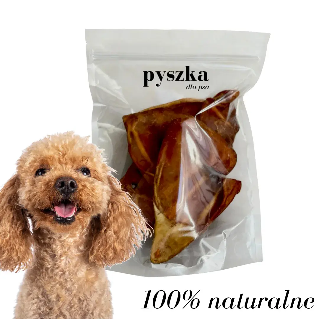 Naturalny Gryzak PREMIUM Pyszki - Wędzone Ucho Wieprzowe  PAKA SMAKOSZA 5 szt.