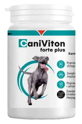 Caniviton Forte Plus – wsparcie dla zdrowych i sprawnych stawów psa (90 tabletek)