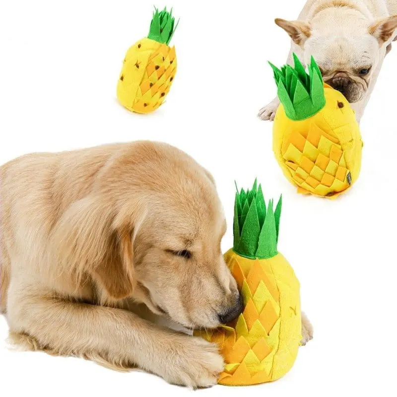 DogLemi Zabawka węchowa ANANAS