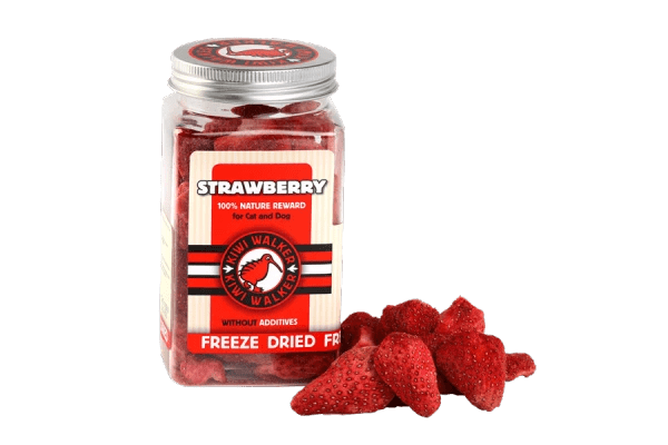 Kiwi Walker 100% TRUSKAWKA liofilizowane smaczki 25g