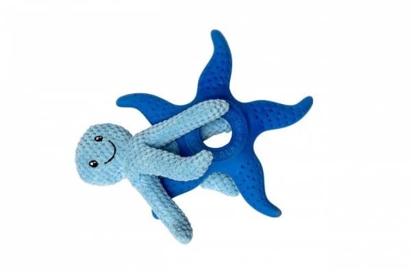 Kiwi Walker 2w1 OCTOPUS & STARFISH niebieski