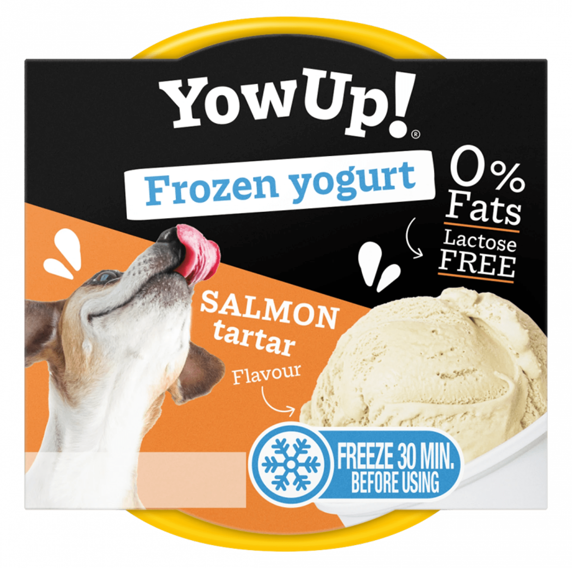 YOW UP! Salmon Tartar FROZEN YOGURT Jogurt do mrożenia o aromacie tatara z łososia 110g