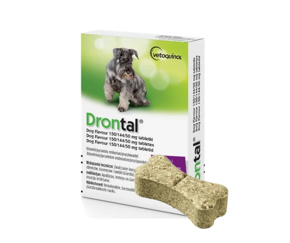 DRONTAL Dog Flavour- 1 tabletka