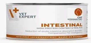 4T VET. DIET intestinal cat 100g CAN