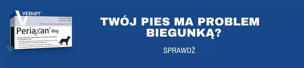 periaxan- na biegunkę u psa