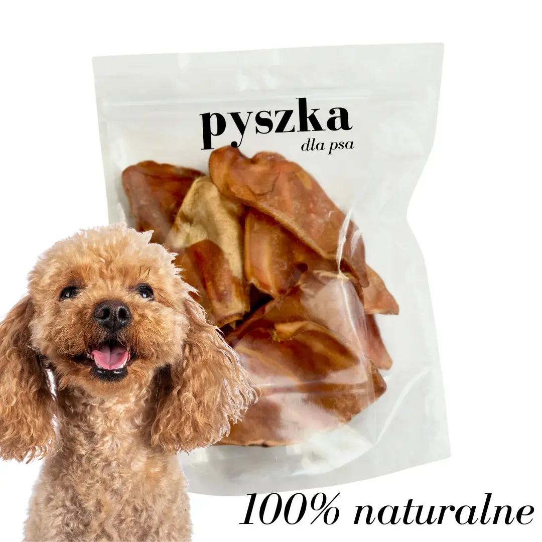 Naturalny Gryzak PREMIUM Pyszki - Wędzone Ucho Wieprzowe MEGA PAKA 10 szt.