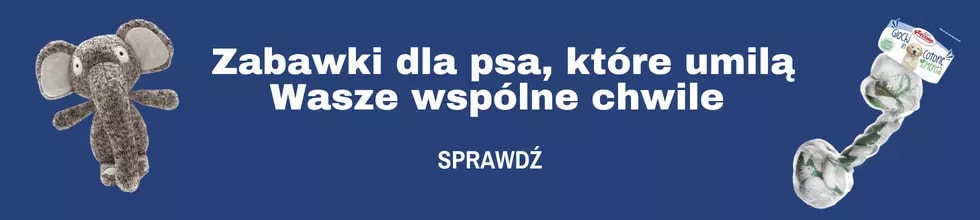 zabawki dla psa